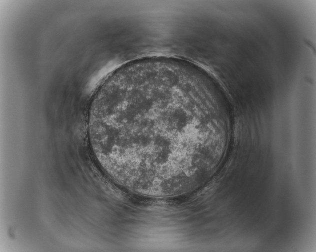 X0000103161359200809121829