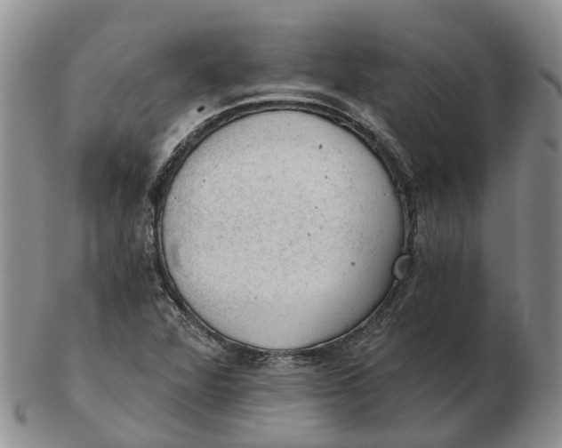 X0000103161360200809121829