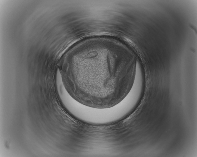 X0000103161361200809121829