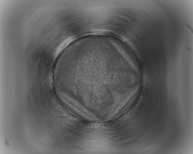 X0000103161362200809121829