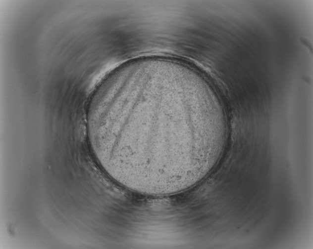 X0000103161363200809121829