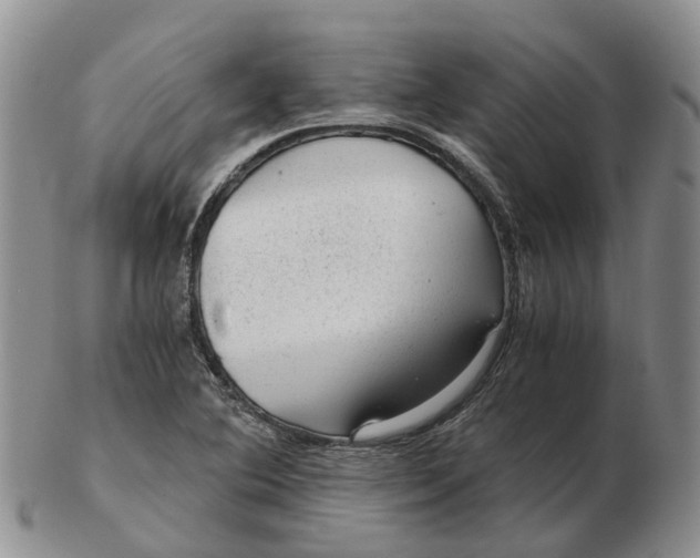 X0000103161364200809121829