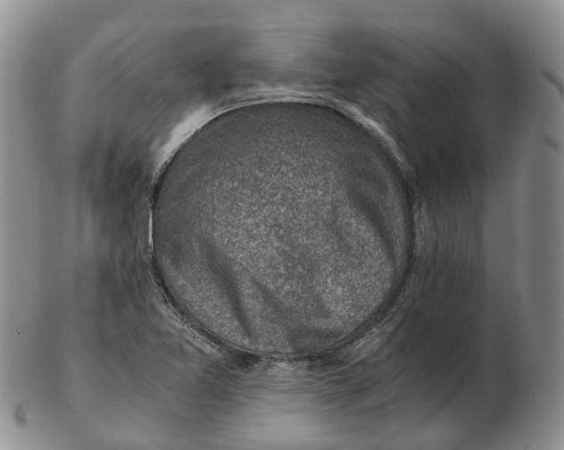 X0000103161365200809121829