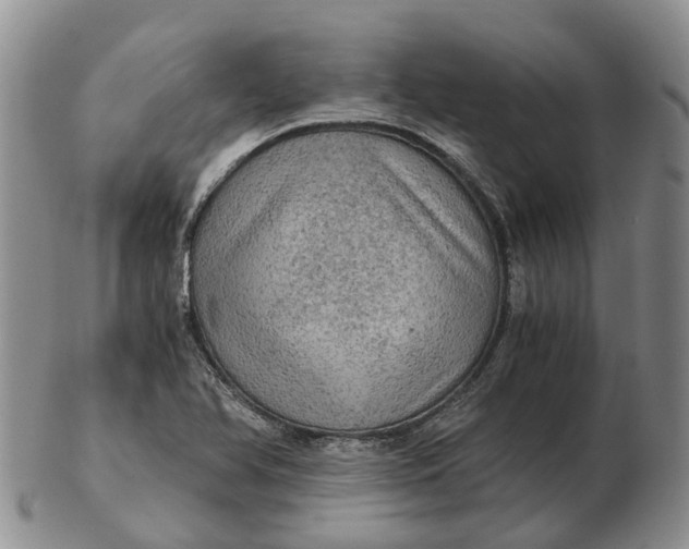 X0000103161366200809121829