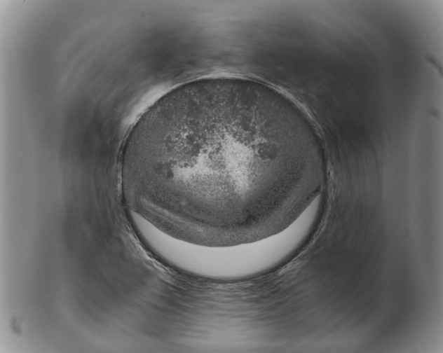 X0000103161367200809121829