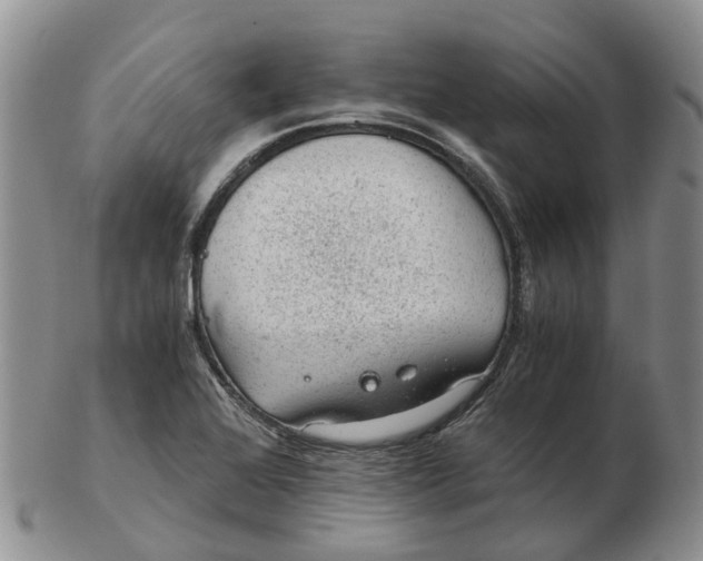 X0000103161368200809121829