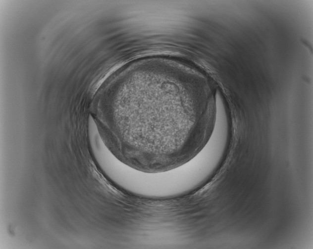 X0000103161369200809121829