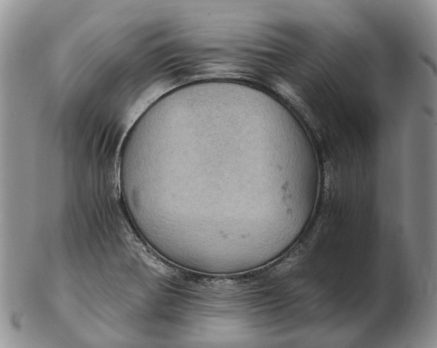 X0000103161370200809121829