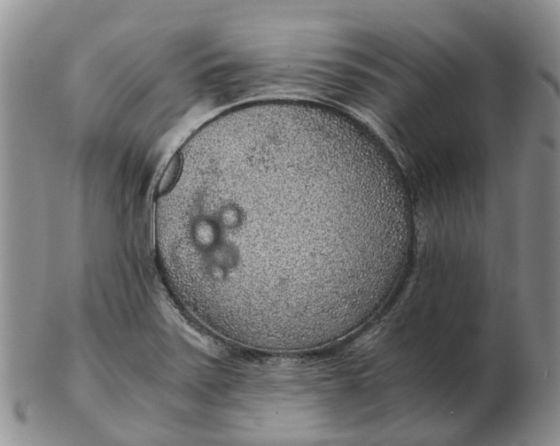 X0000103161371200809121829