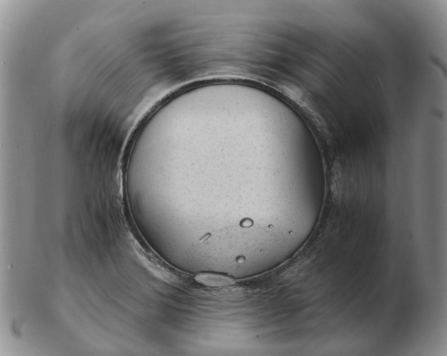 X0000103161372200809121829