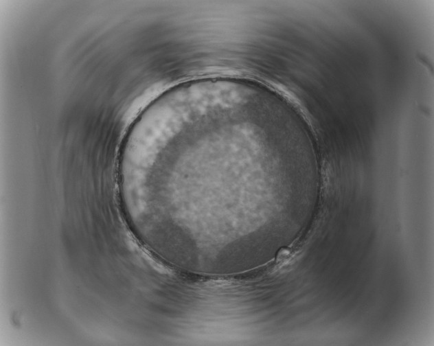 X0000103161373200809121829