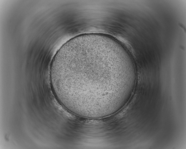 X0000103161374200809121829