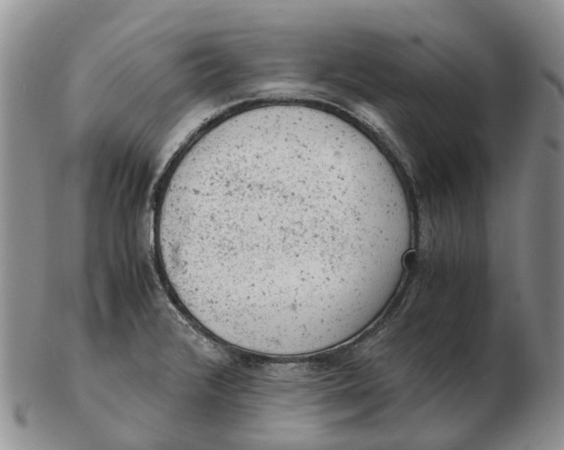 X0000103161376200809121829