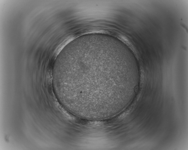 X0000103161377200809121829