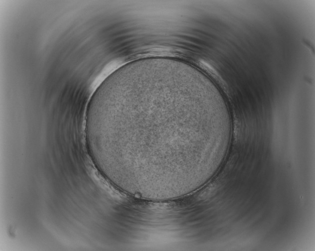 X0000103161378200809121829