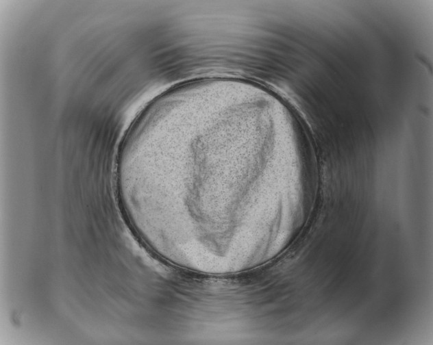 X0000103161379200809121829