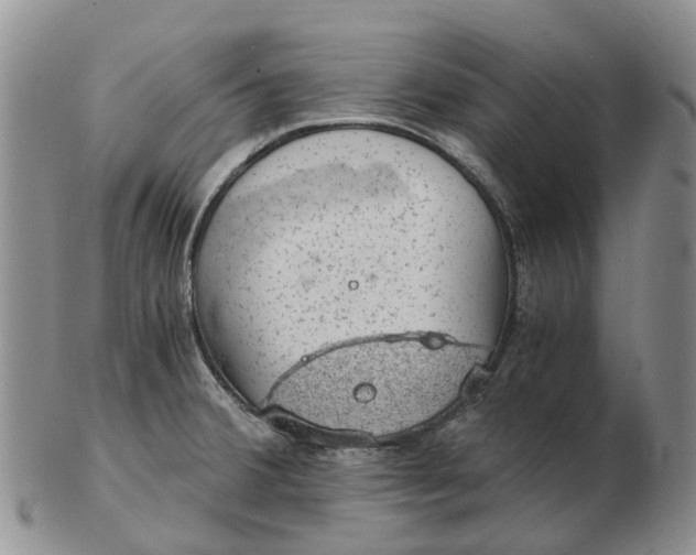 X0000103161380200809121829