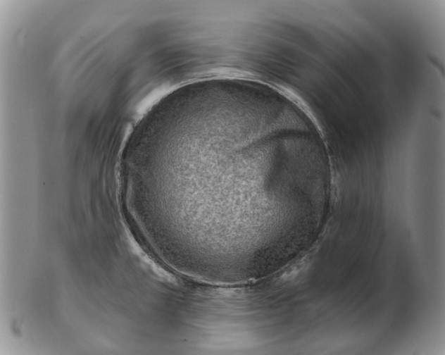 X0000103161381200809121829