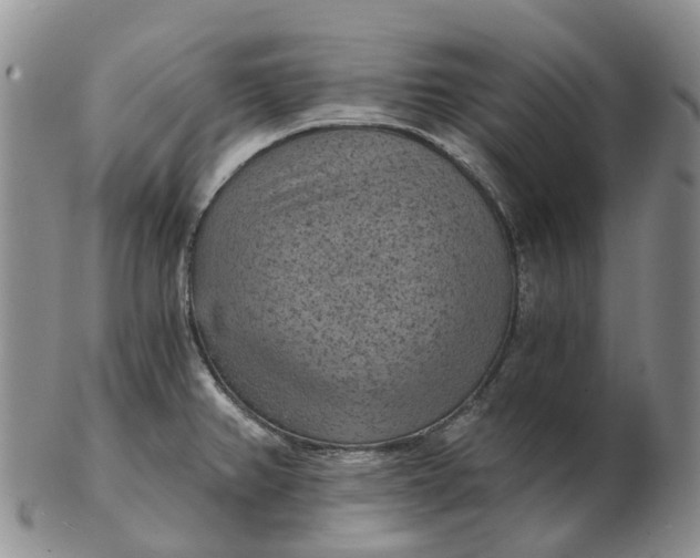 X0000103161382200809121829