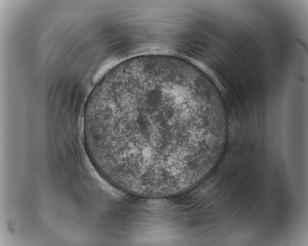 X0000103161383200809121828