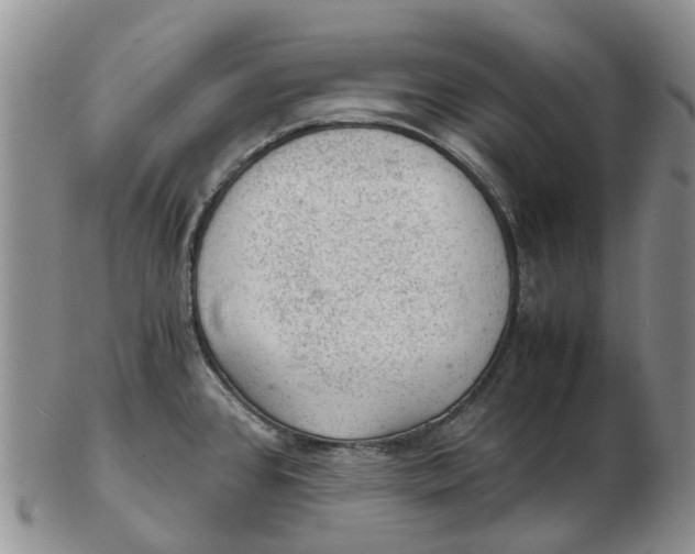 X0000103161384200809121828