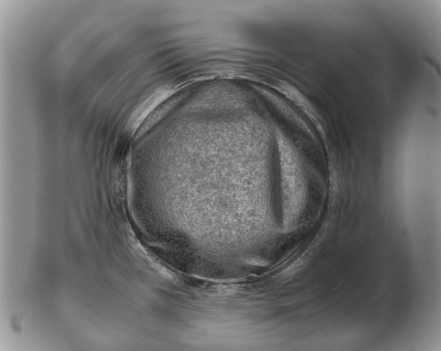 X0000103161385200809121828