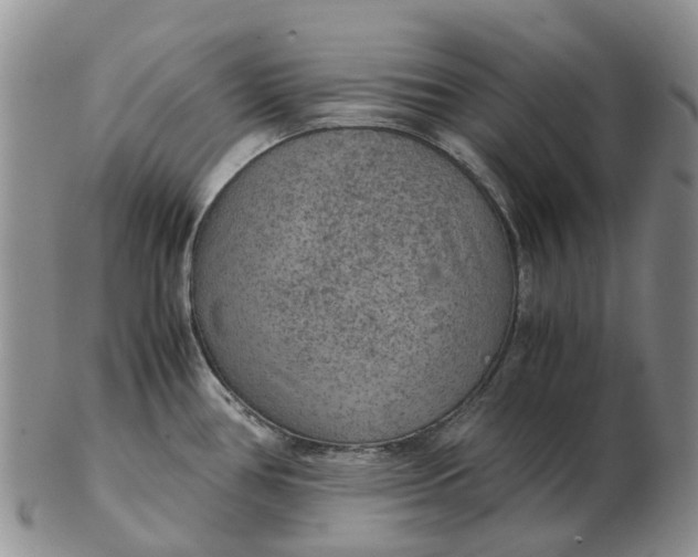 X0000103161386200809121828