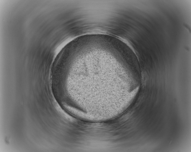 X0000103161387200809121828