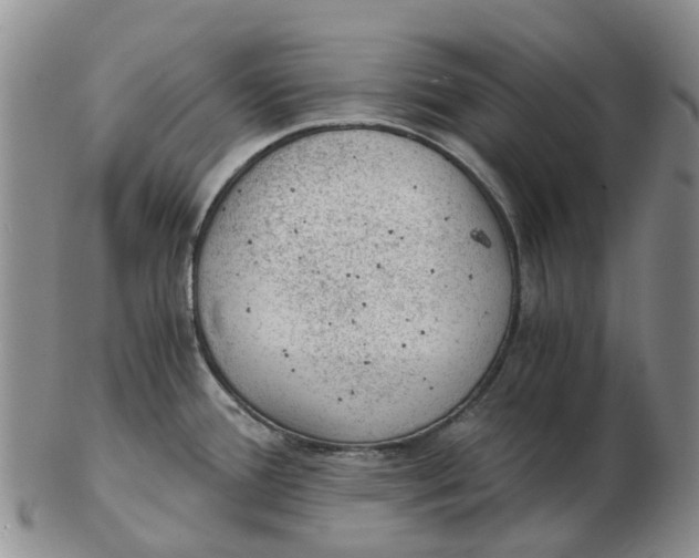 X0000103161388200809121828