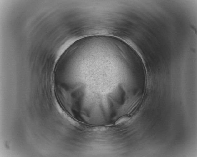 X0000103161389200809121828