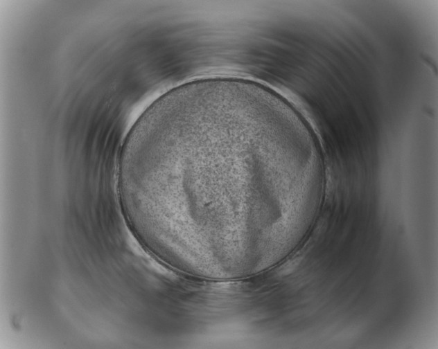 X0000103161390200809121828