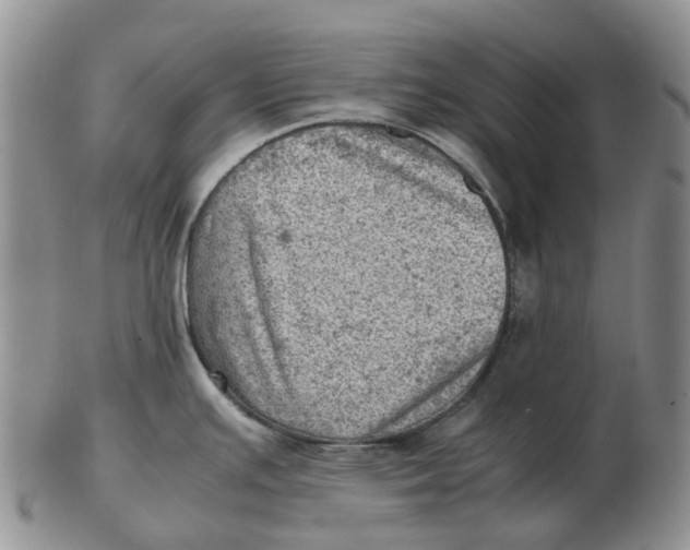 X0000103161391200809121828