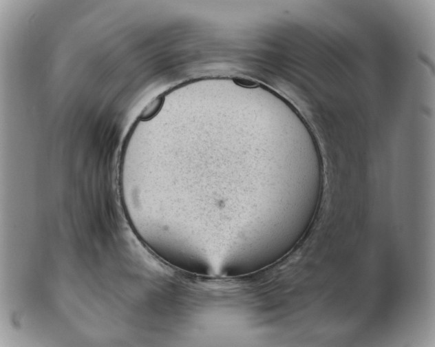 X0000103161392200809121828