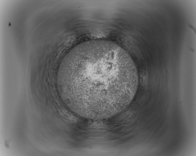 X0000103161393200809121828