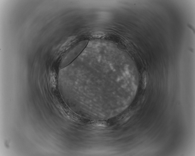 X0000103161394200809121828