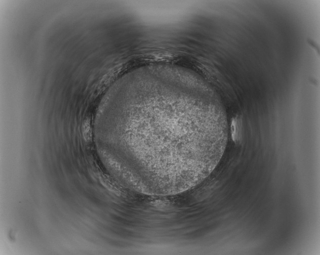 X0000103161395200809121828