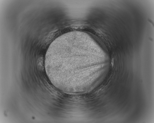 X0000103161396200809121828