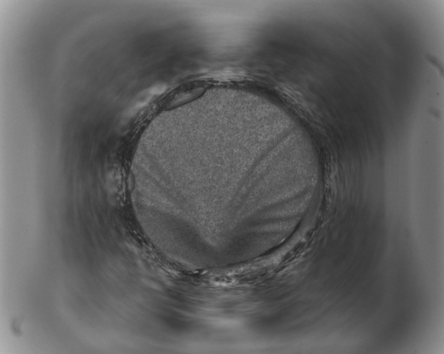 X0000103161398200809121828