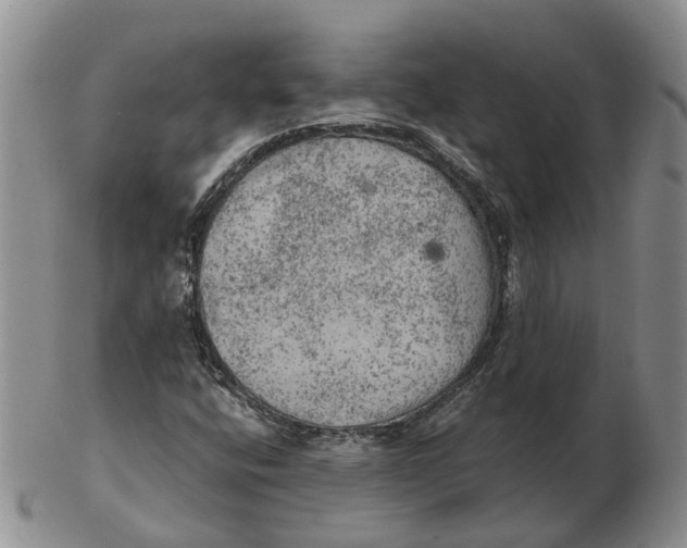 X0000103161400200809121828