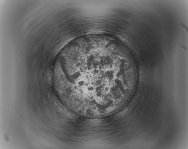 X0000103161401200809121828