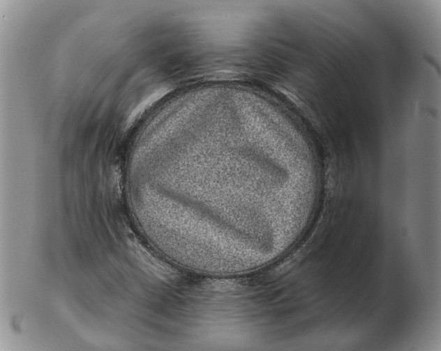 X0000103161402200809121828