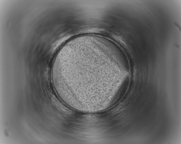 X0000103161404200809121828