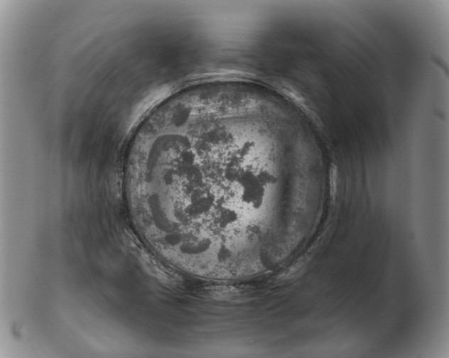 X0000103161405200809121828