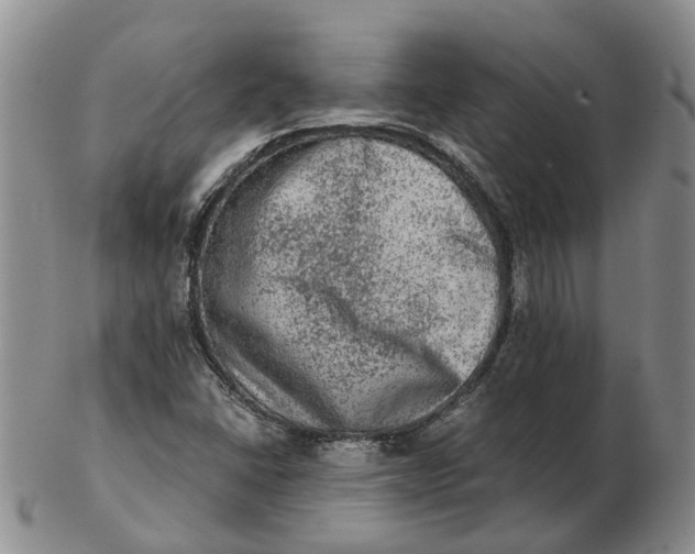 X0000103161406200809121828