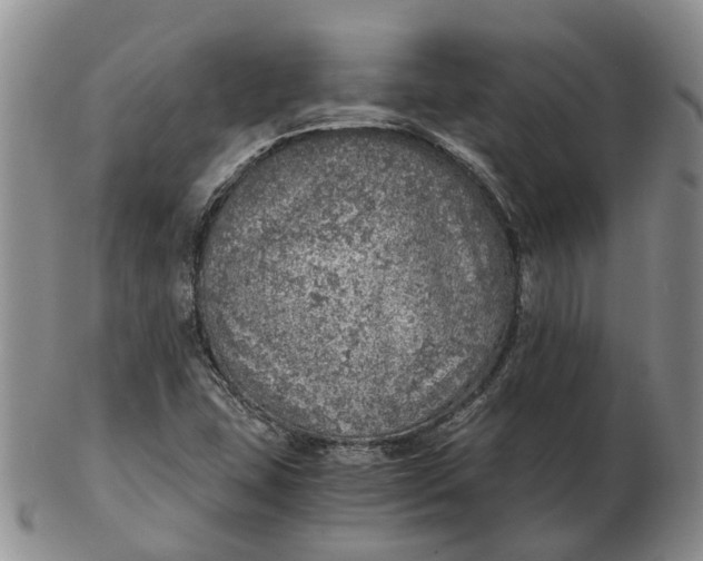 X0000103161407200809121828