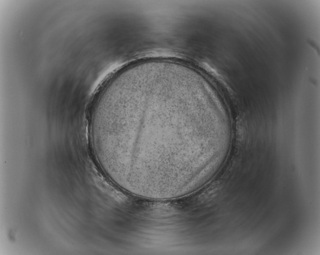 X0000103161408200809121828