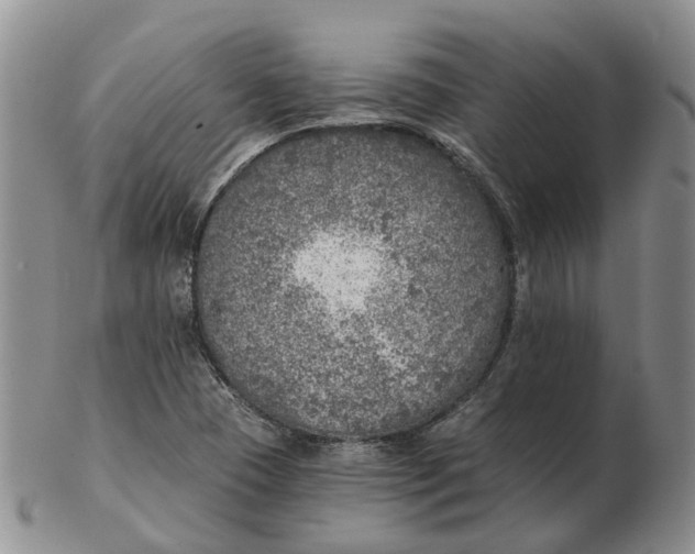 X0000103161409200809121828