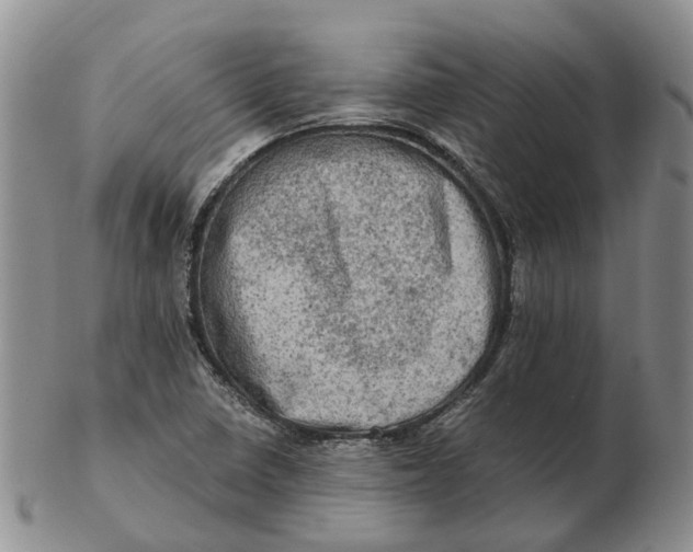 X0000103161410200809121828