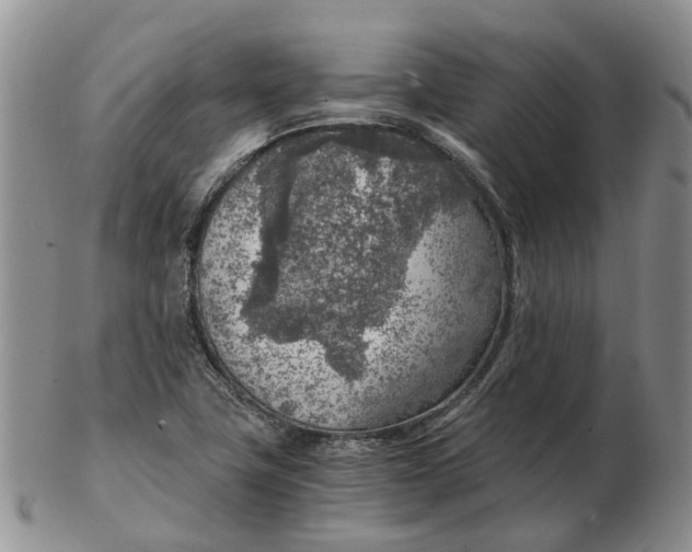 X0000103161411200809121828