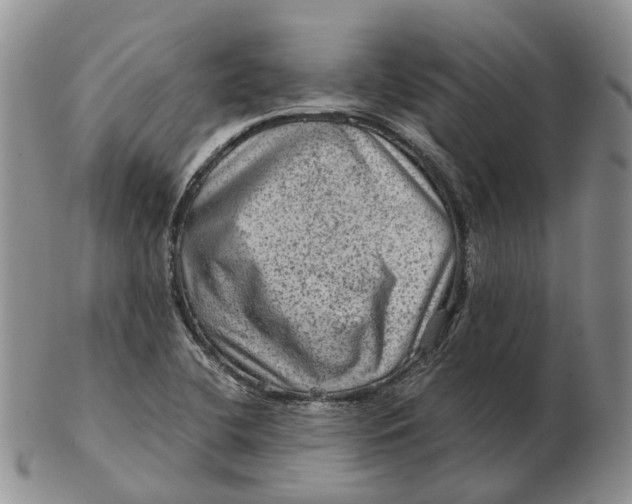 X0000103161412200809121828